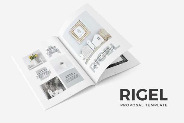 Rigel Proposal Template